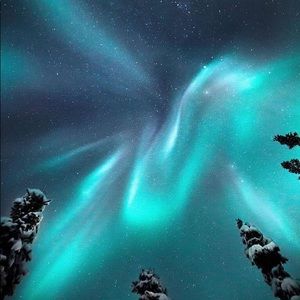 Meet your Posher, Chloe